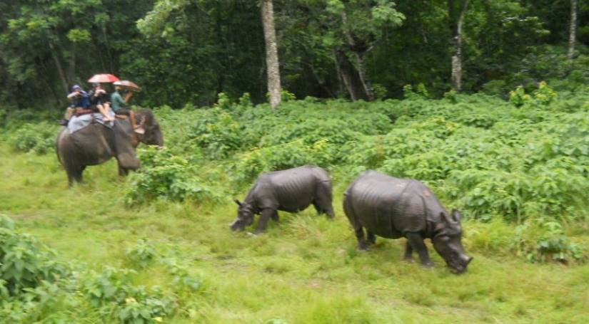 Chitwan Jungle Safari