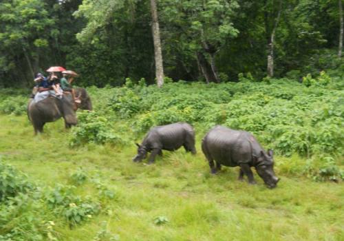 Chitwan Jungle Safari