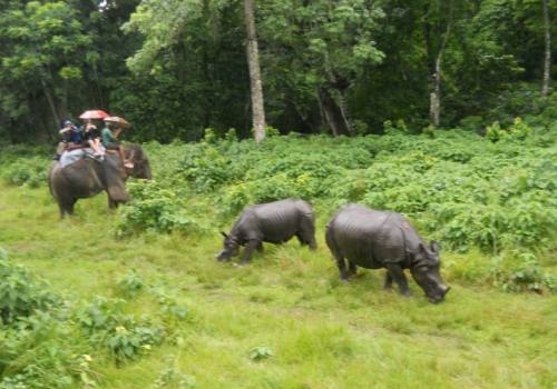 Kathmandu Pokhara Chitwan Tour